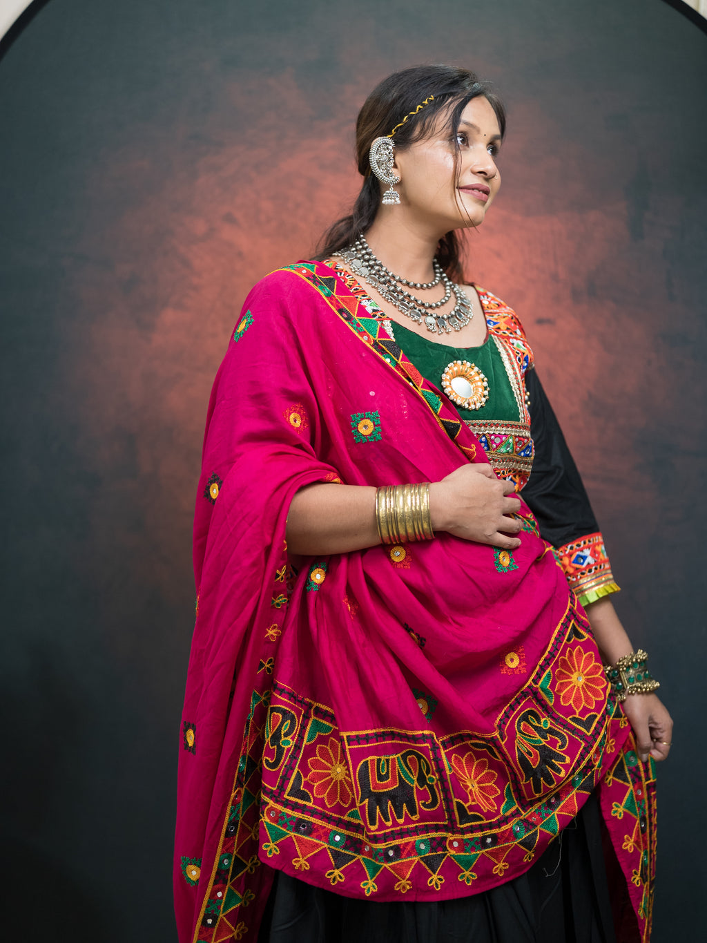 Navratri Royale Chaniya Choli Set